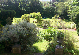 garden at Bank House